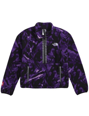 THE NORTH FACE W FLEESKI 1/4 ZIP PULLOVER shop