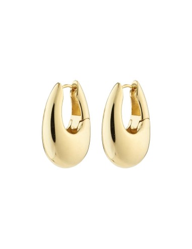 PILGRIM AUTUMN CHUNKY RETRO HOOP EARRINGS l'évolution des habitudes 