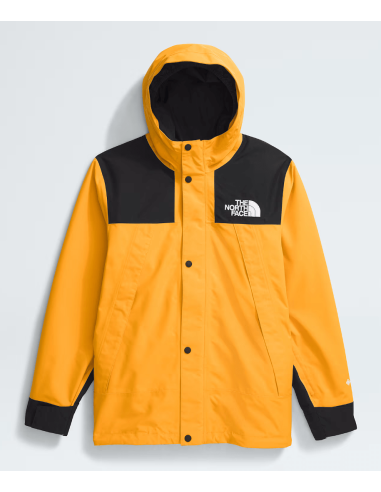 THE NORTH FACE Y TEEN GTX MOUNTAIN JACKET sur le site 