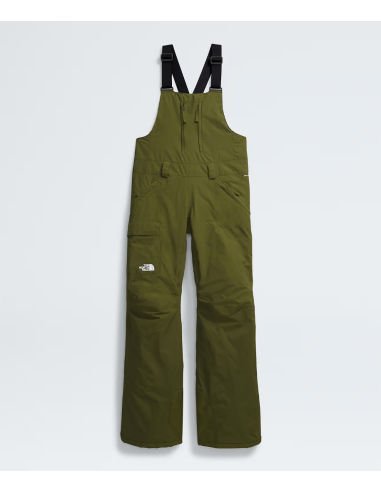 THE NORTH FACE W FREEDOM INSULATED BIB les ctes